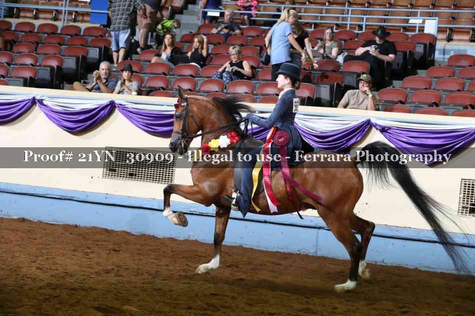 Proof 21YN_30909