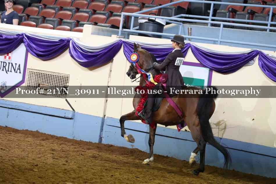 Proof 21YN_30911