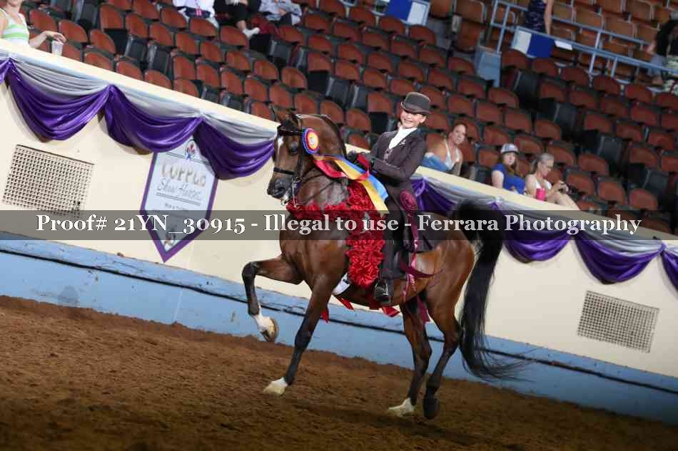 Proof 21YN_30915