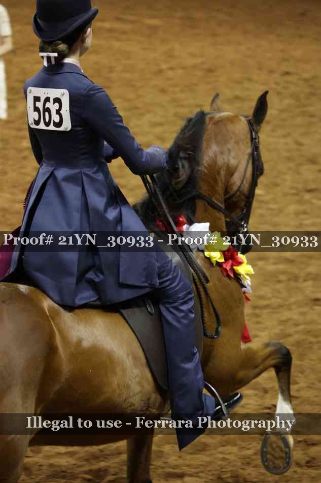 Proof 21YN_30933