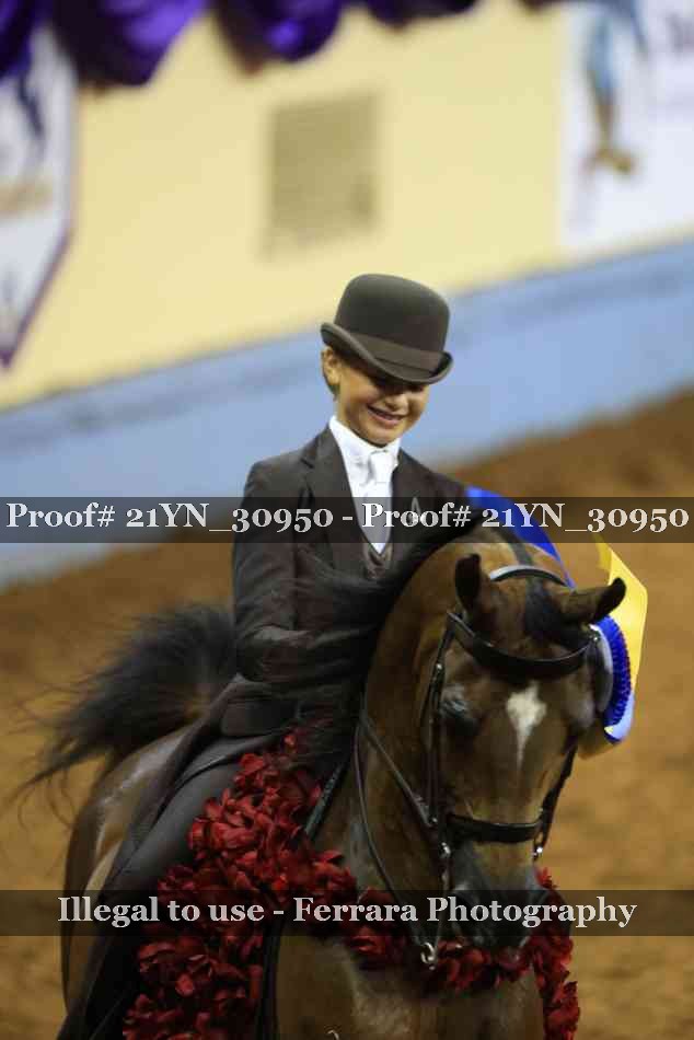 Proof 21YN_30950