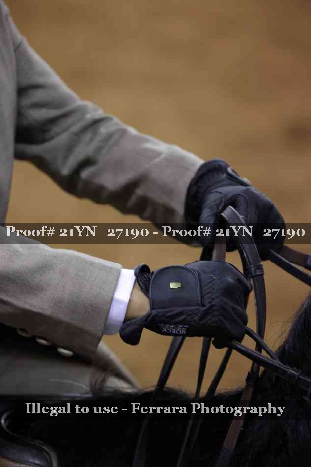 Proof 21YN_27190