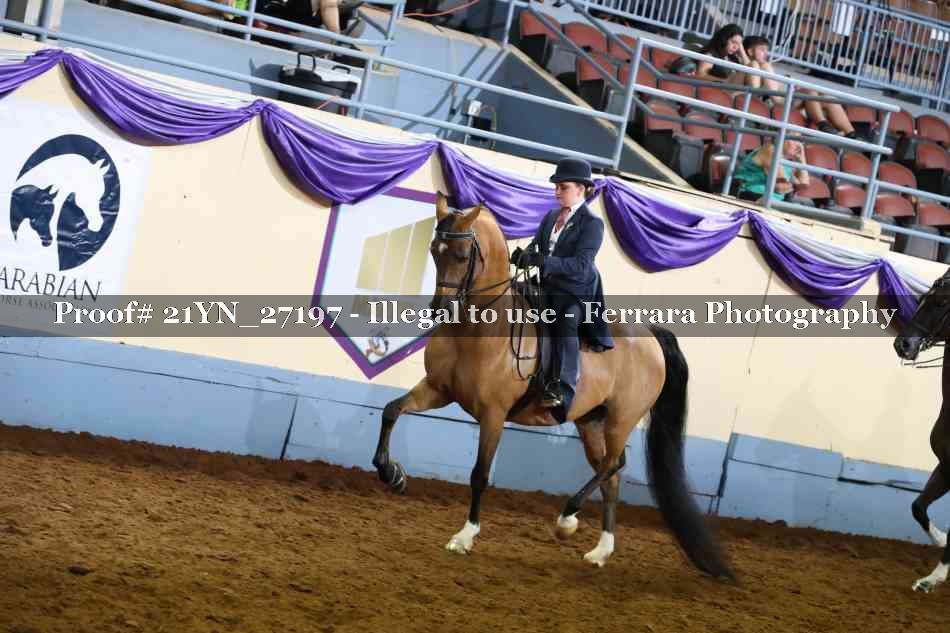 Proof 21YN_27197