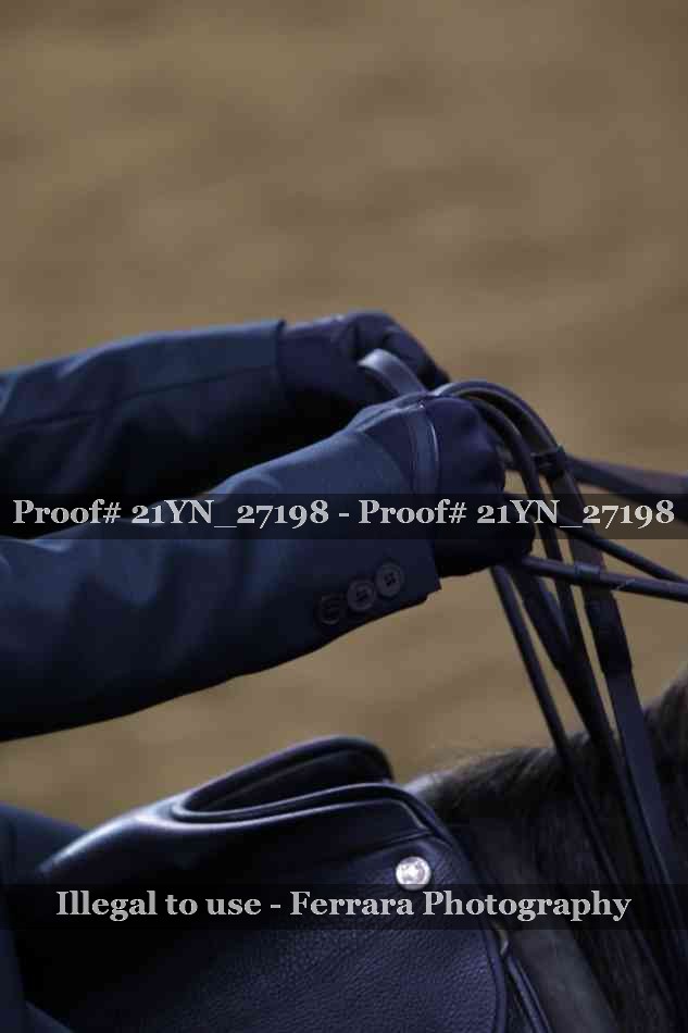 Proof 21YN_27198