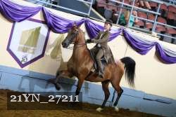 21YN_27211 proof