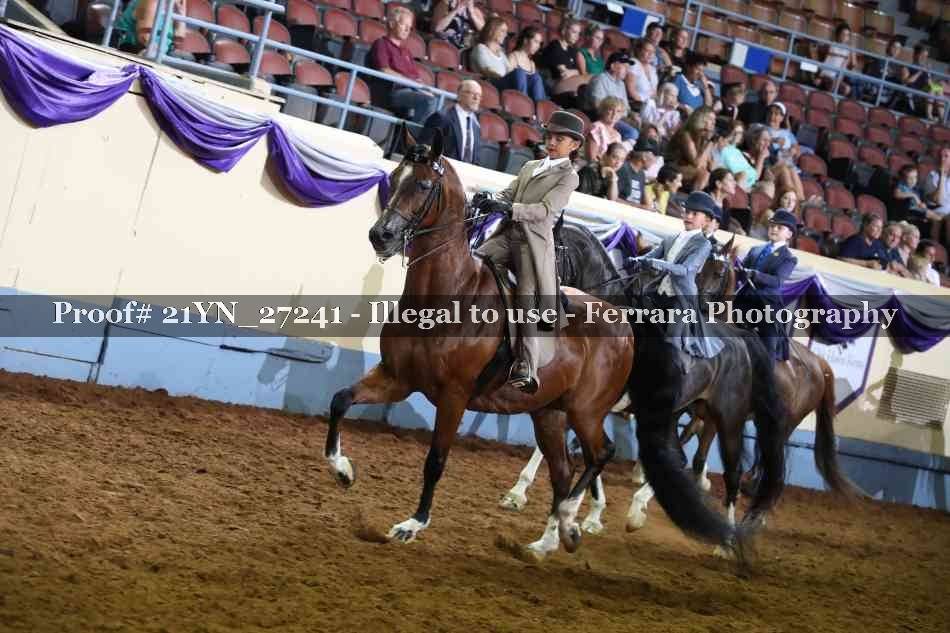 Proof 21YN_27241