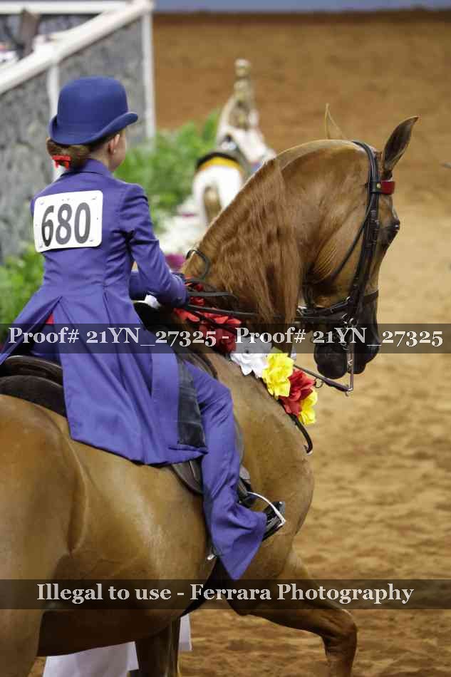 Proof 21YN_27325