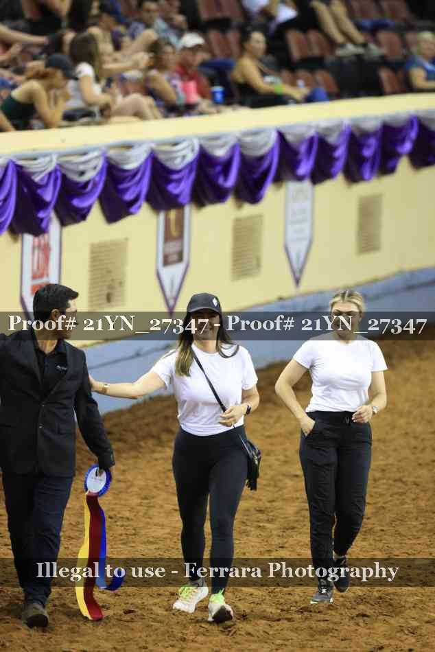 Proof 21YN_27347