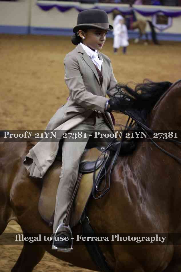 Proof 21YN_27381