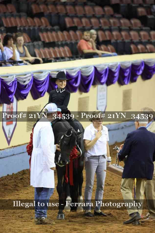 Proof 21YN_34539