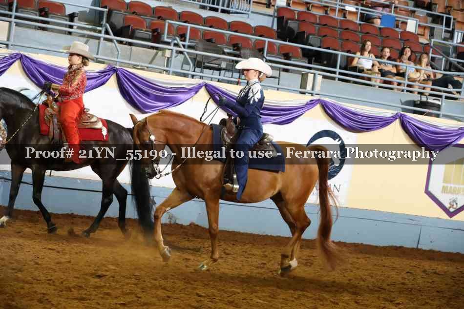 Proof 21YN_55190