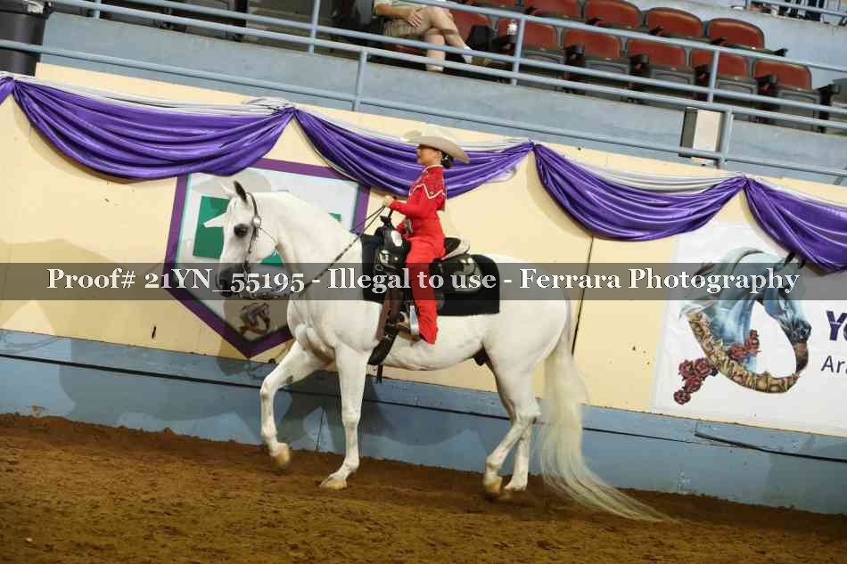 Proof 21YN_55195