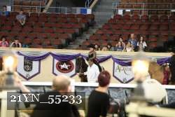21YN_55233 proof
