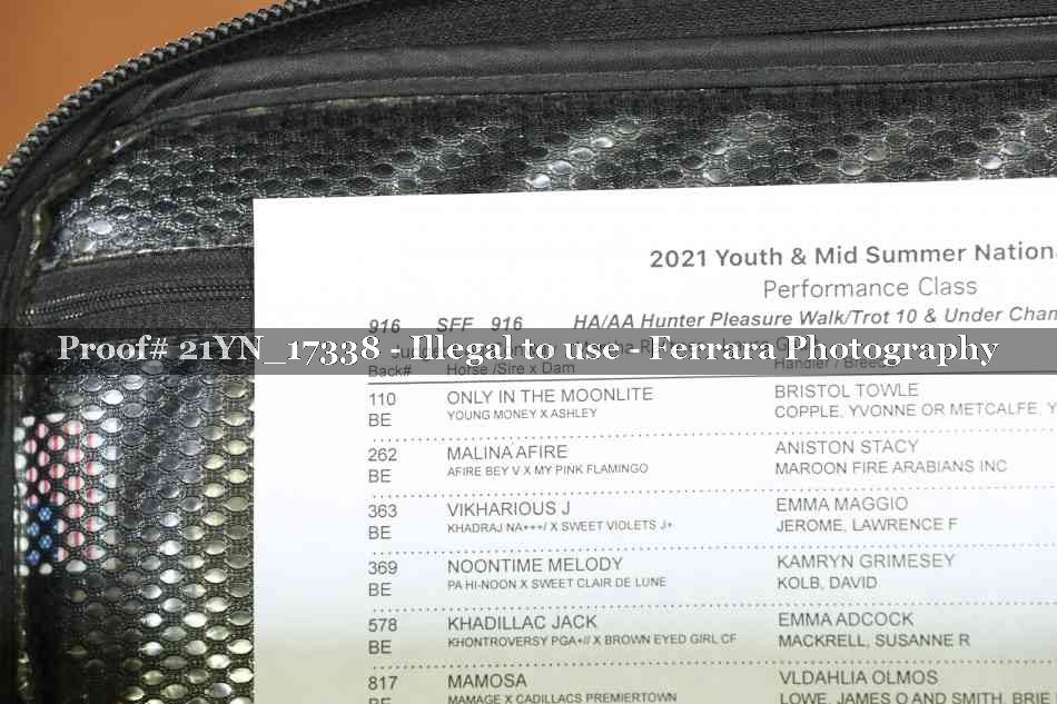 Proof 21YN_17338