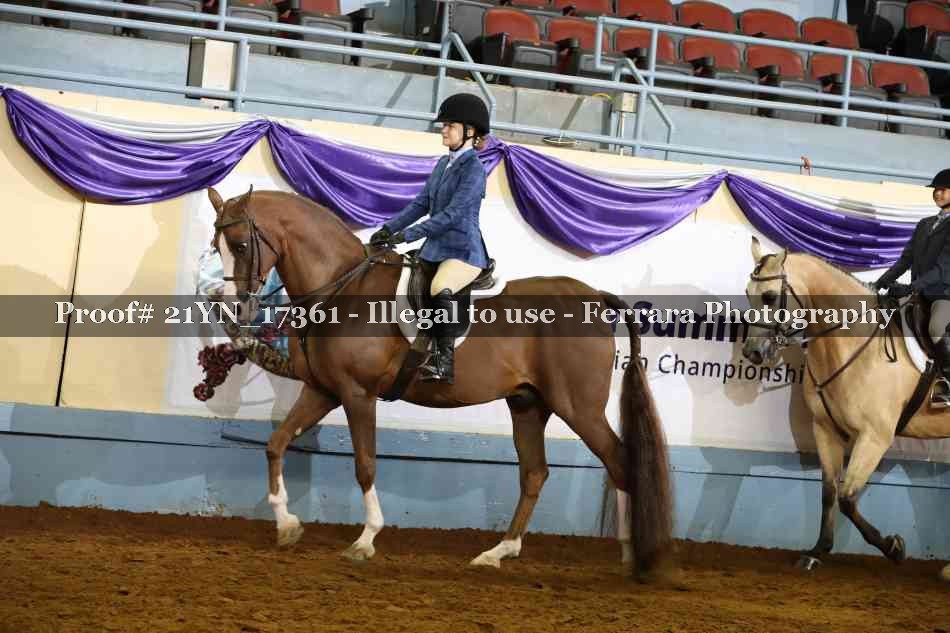 Proof 21YN_17361