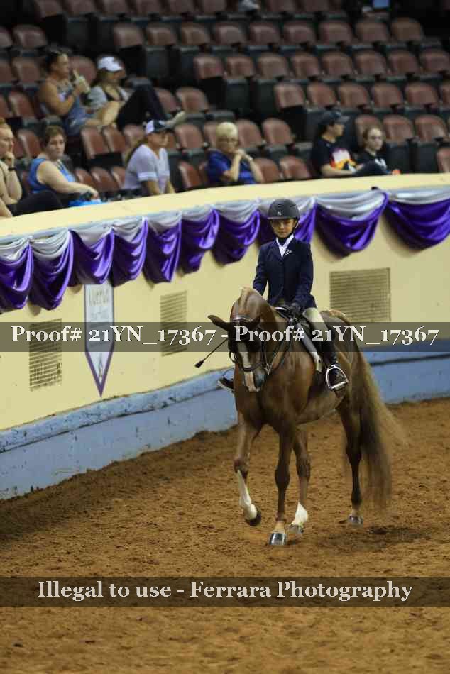 Proof 21YN_17367