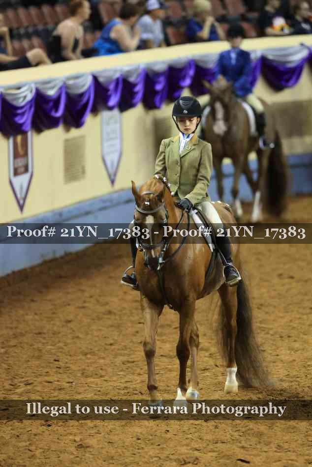 Proof 21YN_17383