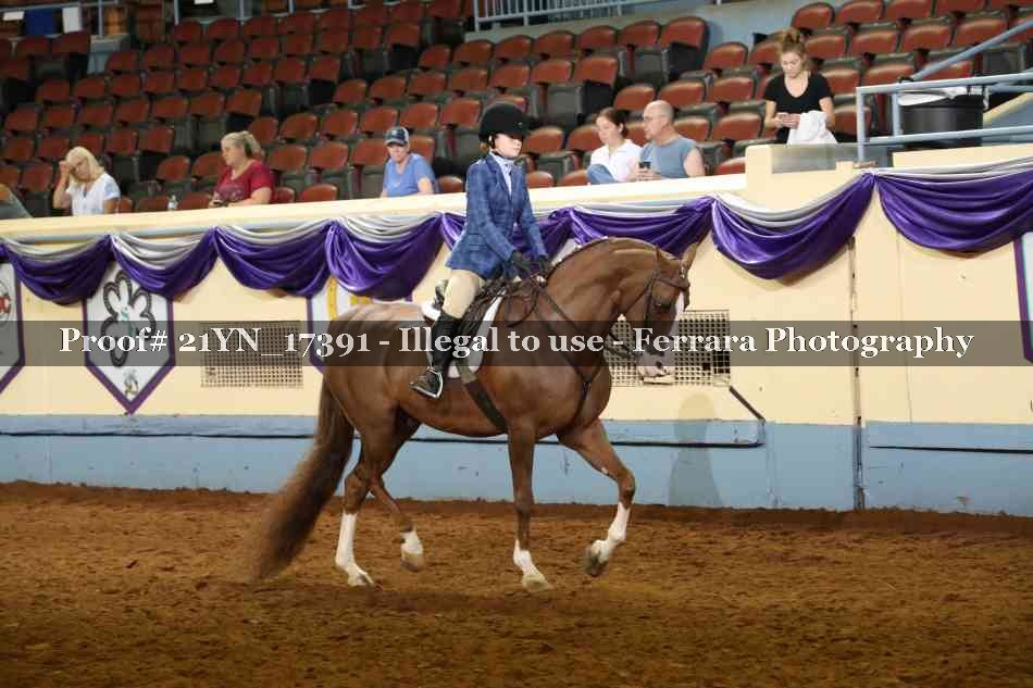 Proof 21YN_17391