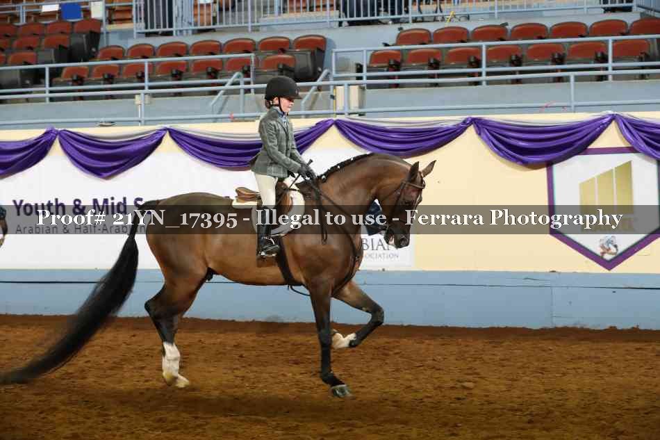 Proof 21YN_17395