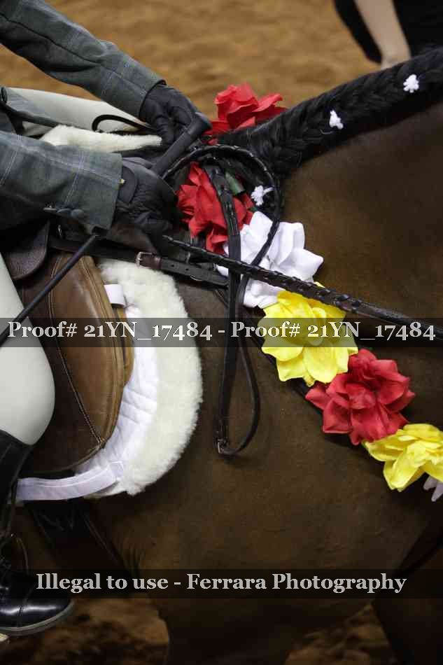 Proof 21YN_17484