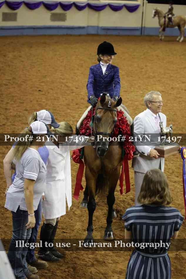 Proof 21YN_17497