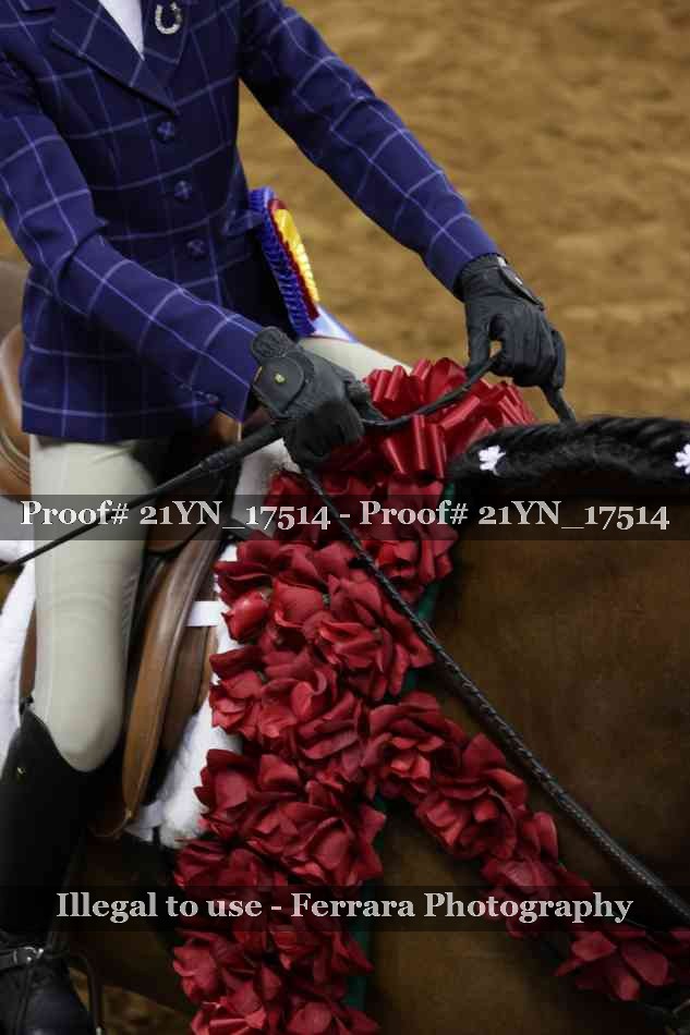 Proof 21YN_17514