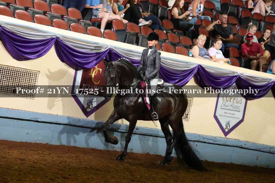 Proof 21YN_17525