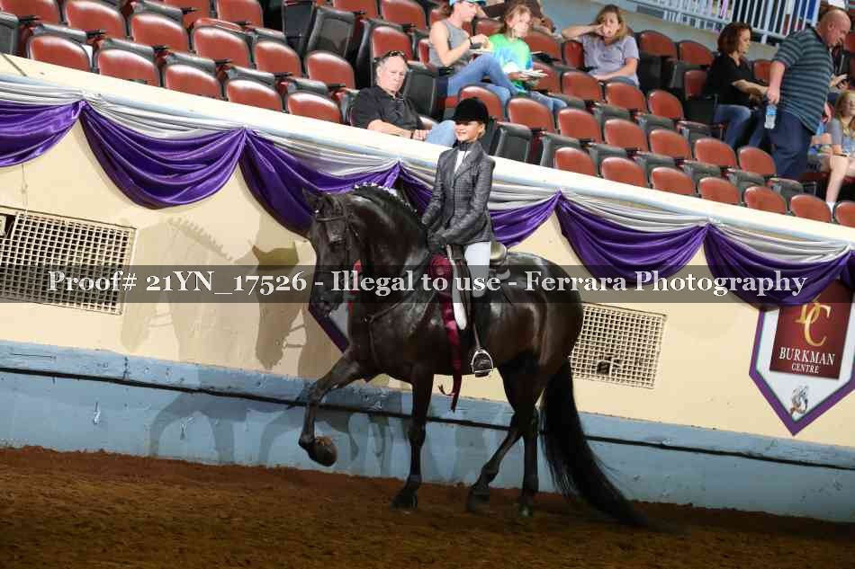 Proof 21YN_17526