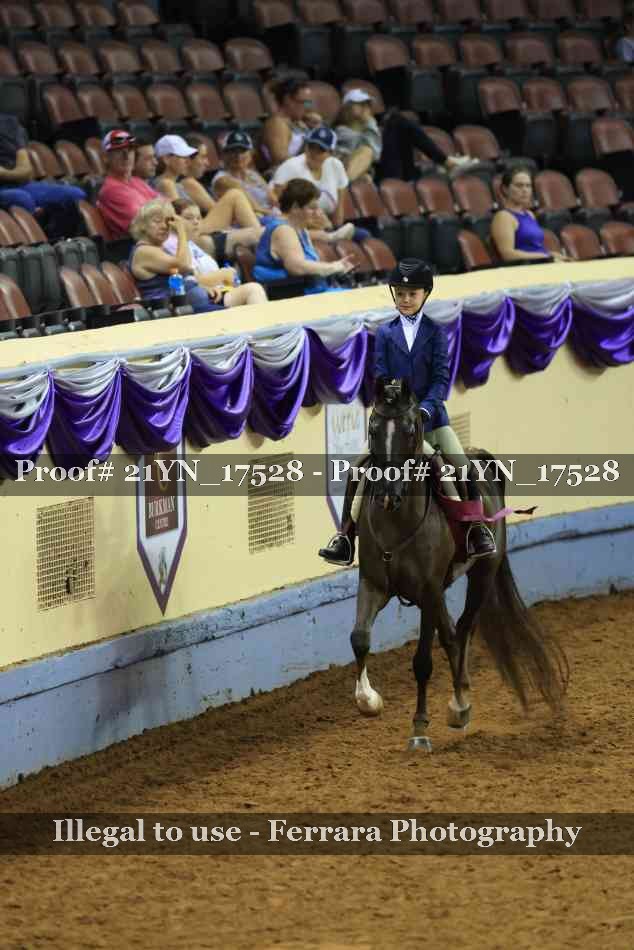 Proof 21YN_17528
