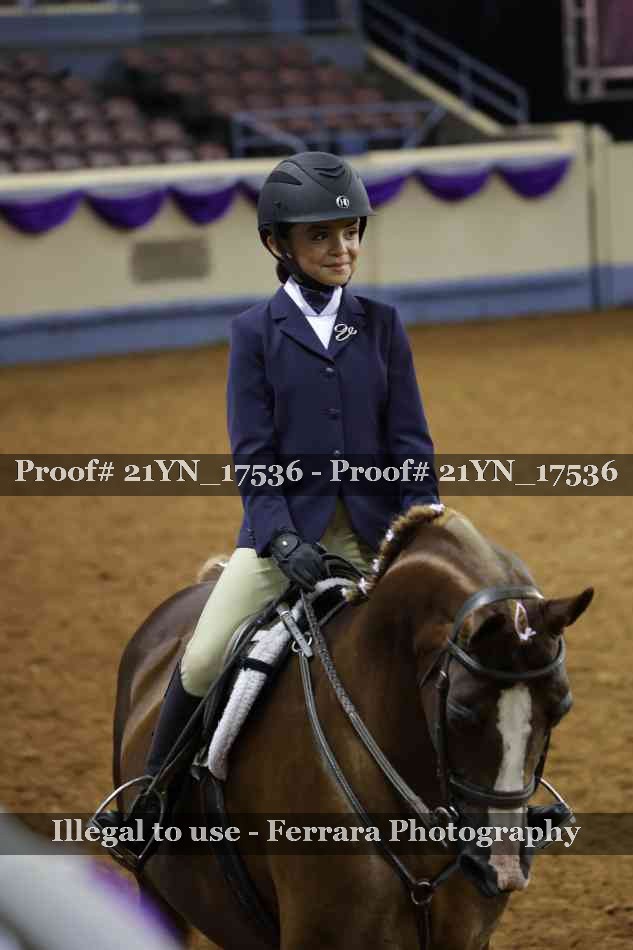 Proof 21YN_17536