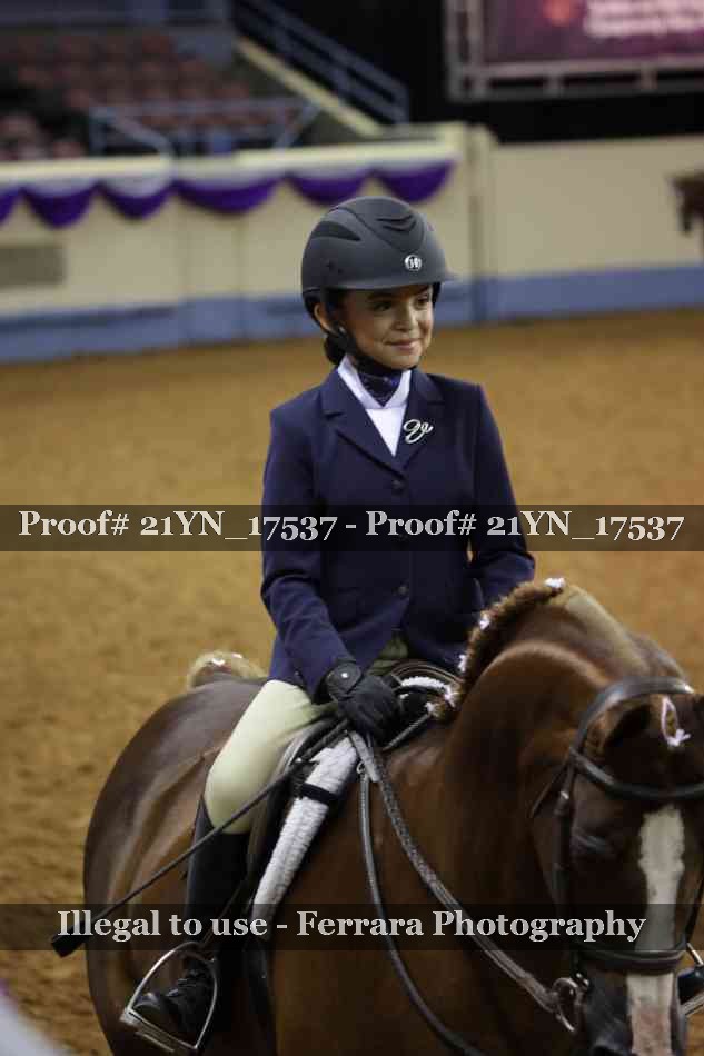 Proof 21YN_17537