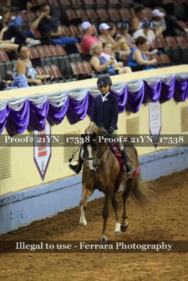 Proof 21YN_17538