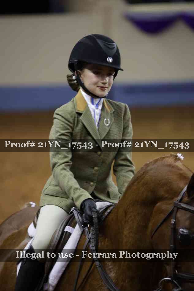 Proof 21YN_17543