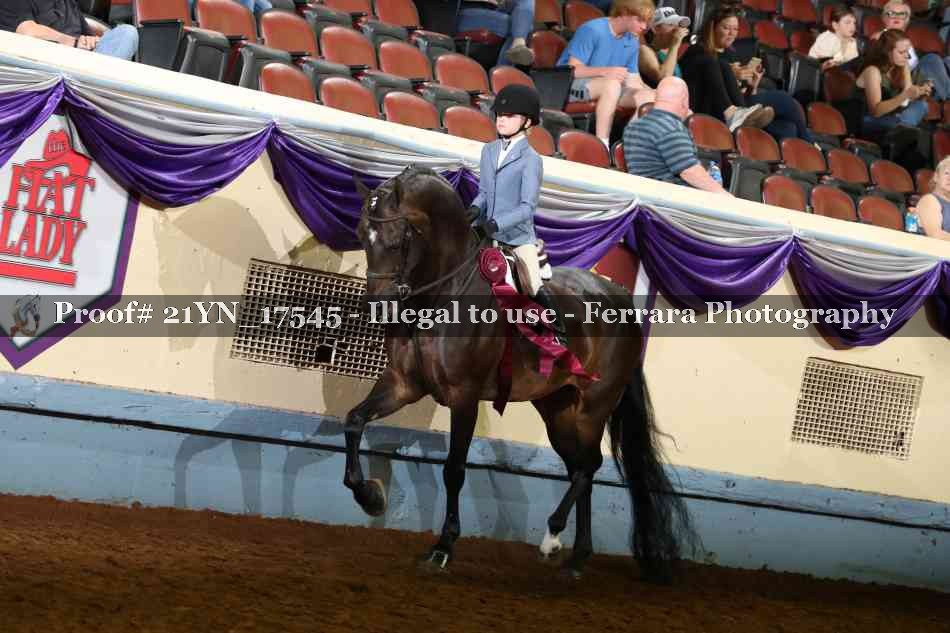Proof 21YN_17545