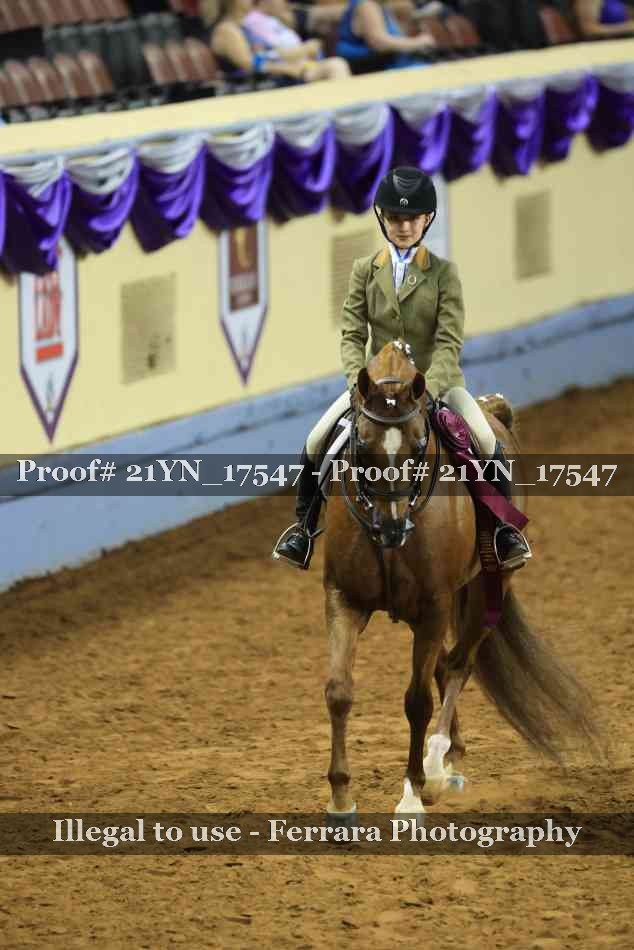 Proof 21YN_17547