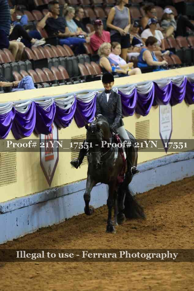 Proof 21YN_17551