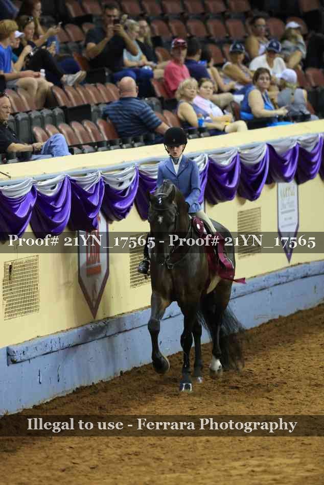 Proof 21YN_17565