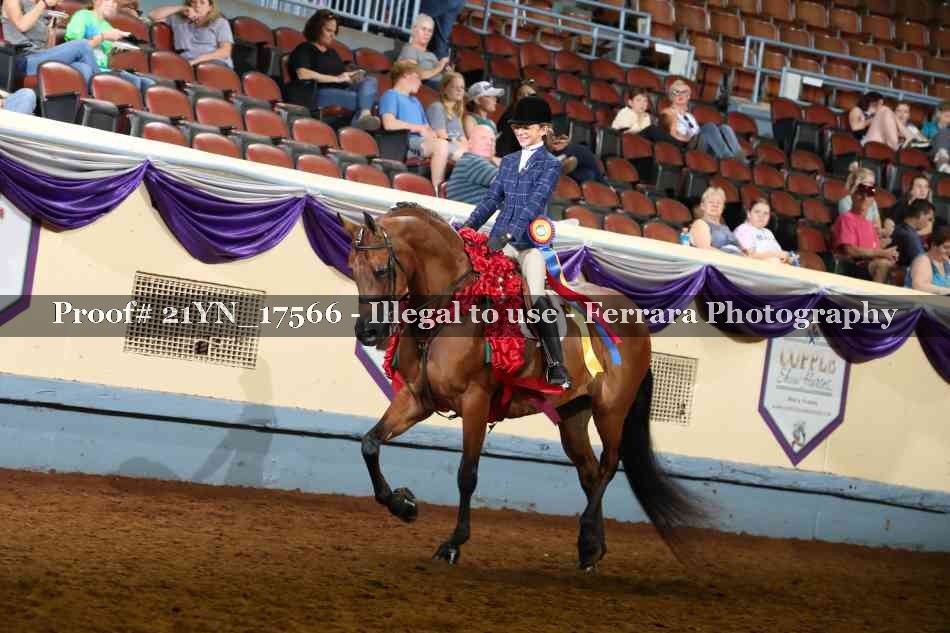 Proof 21YN_17566