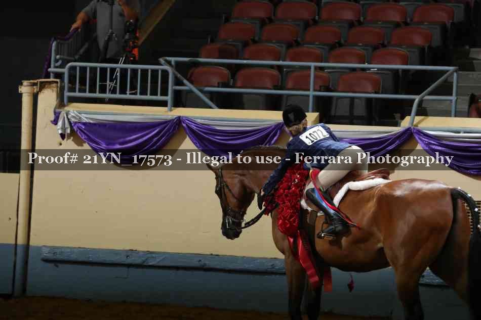 Proof 21YN_17573