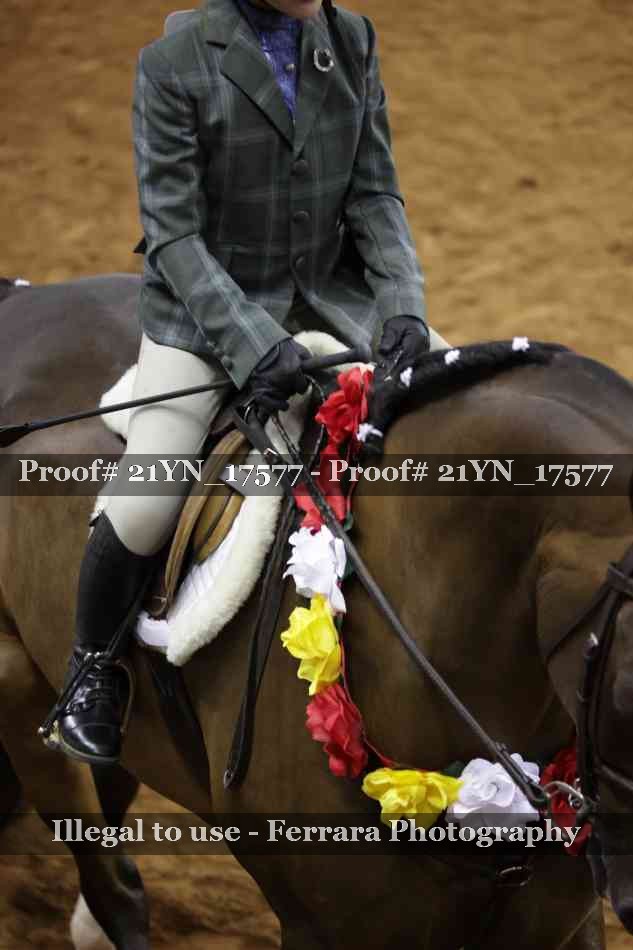 Proof 21YN_17577