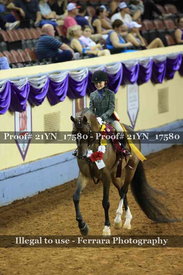 Proof 21YN_17580