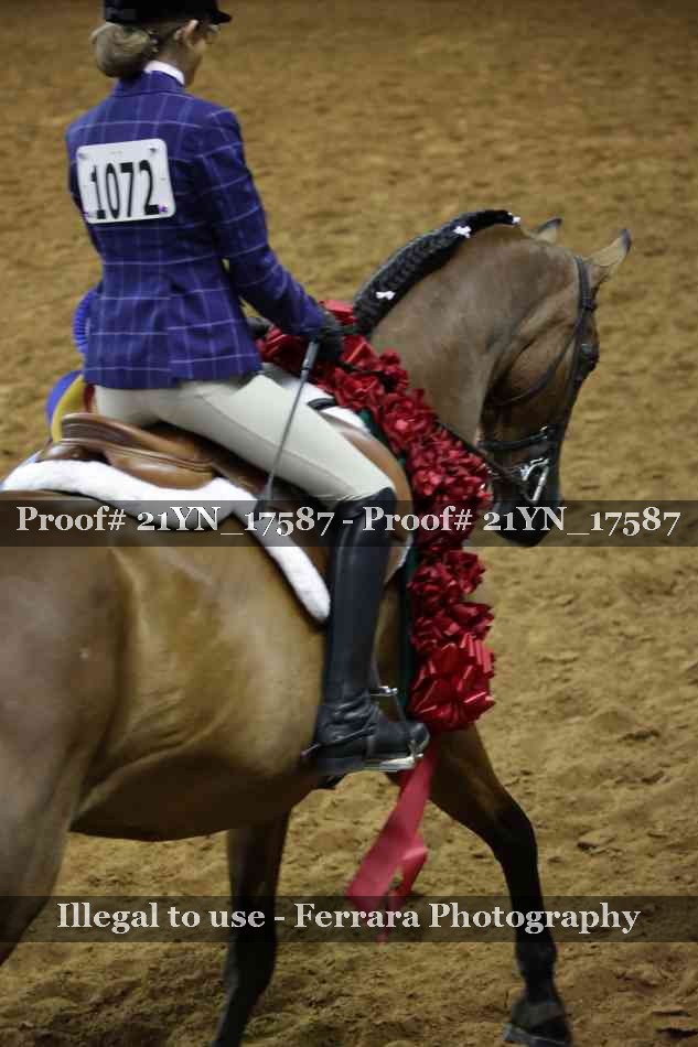 Proof 21YN_17587