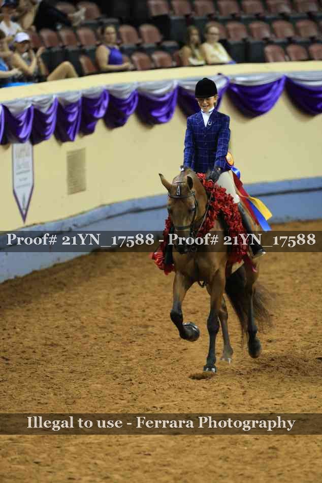 Proof 21YN_17588