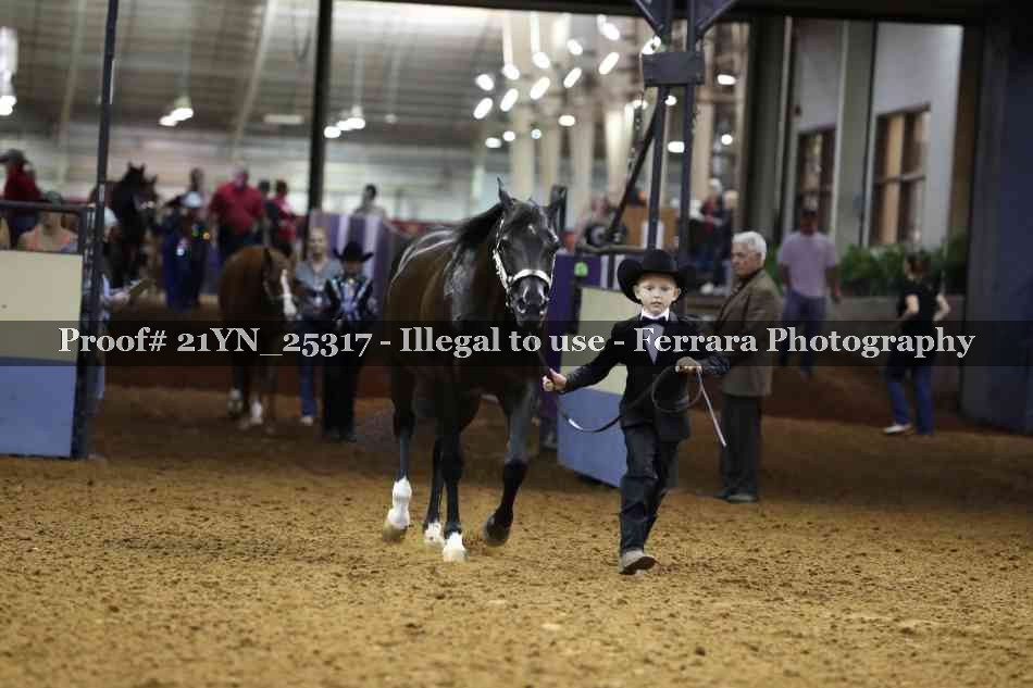 Proof 21YN_25317