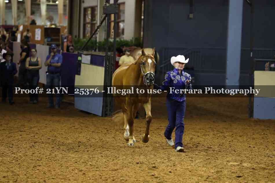 Proof 21YN_25376