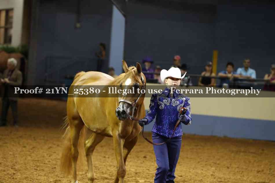 Proof 21YN_25380