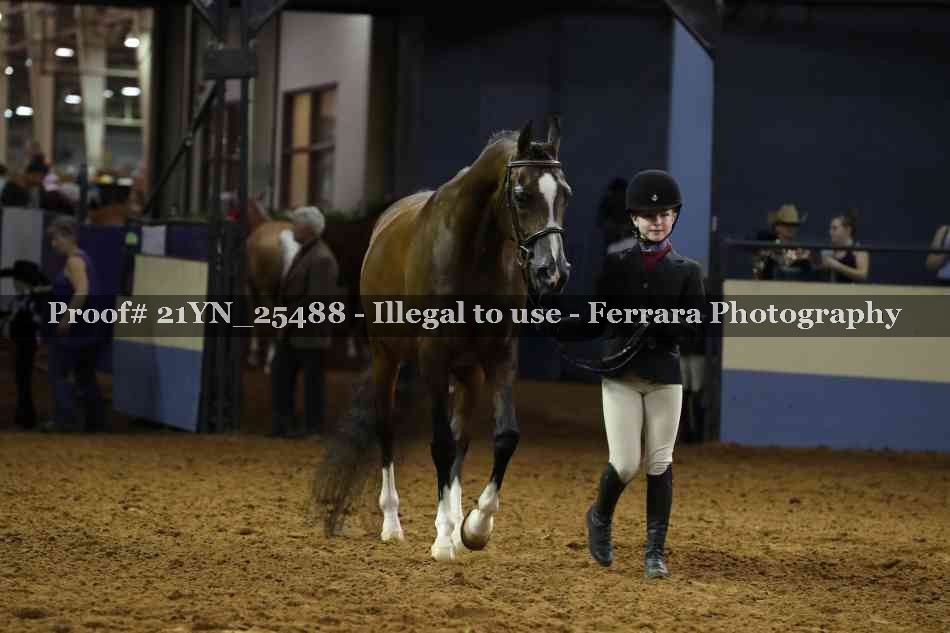 Proof 21YN_25488