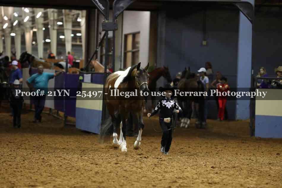Proof 21YN_25497