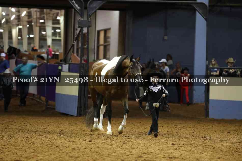 Proof 21YN_25498