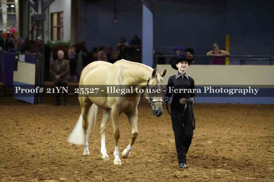 Proof 21YN_25527